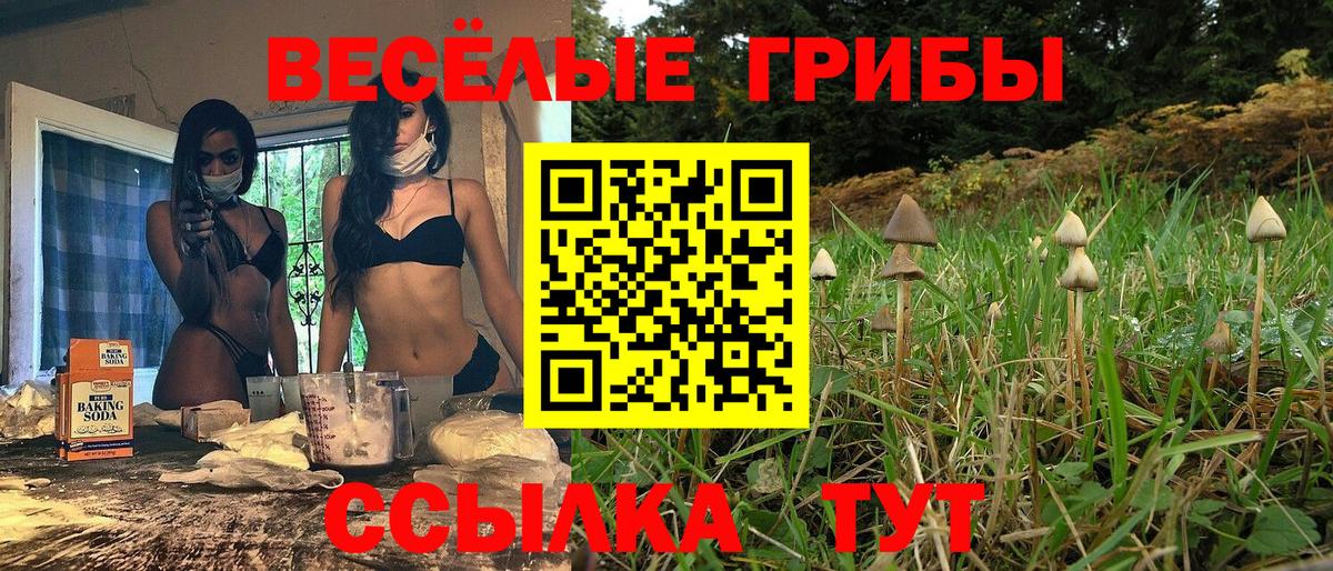 Галлюциногенные грибы Magic Shrooms  Вход с VPN  Назарово 